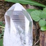 Lemurian seed crystal generator