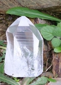 Lemurian seed crystal generator