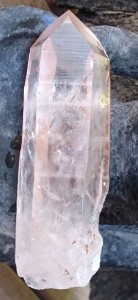 pink lemurian2