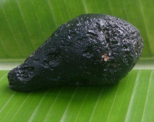 Tibetan tektite.2jpg