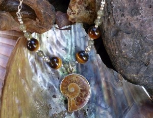 ammonite.tiger eye.labradorite