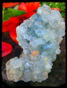 Apophyllite cluster