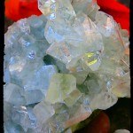 Apophyllite cluster cu