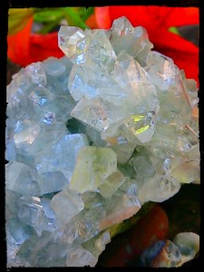 Apophyllite cluster cu